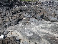 Capomulini - 20110311 234.jpg